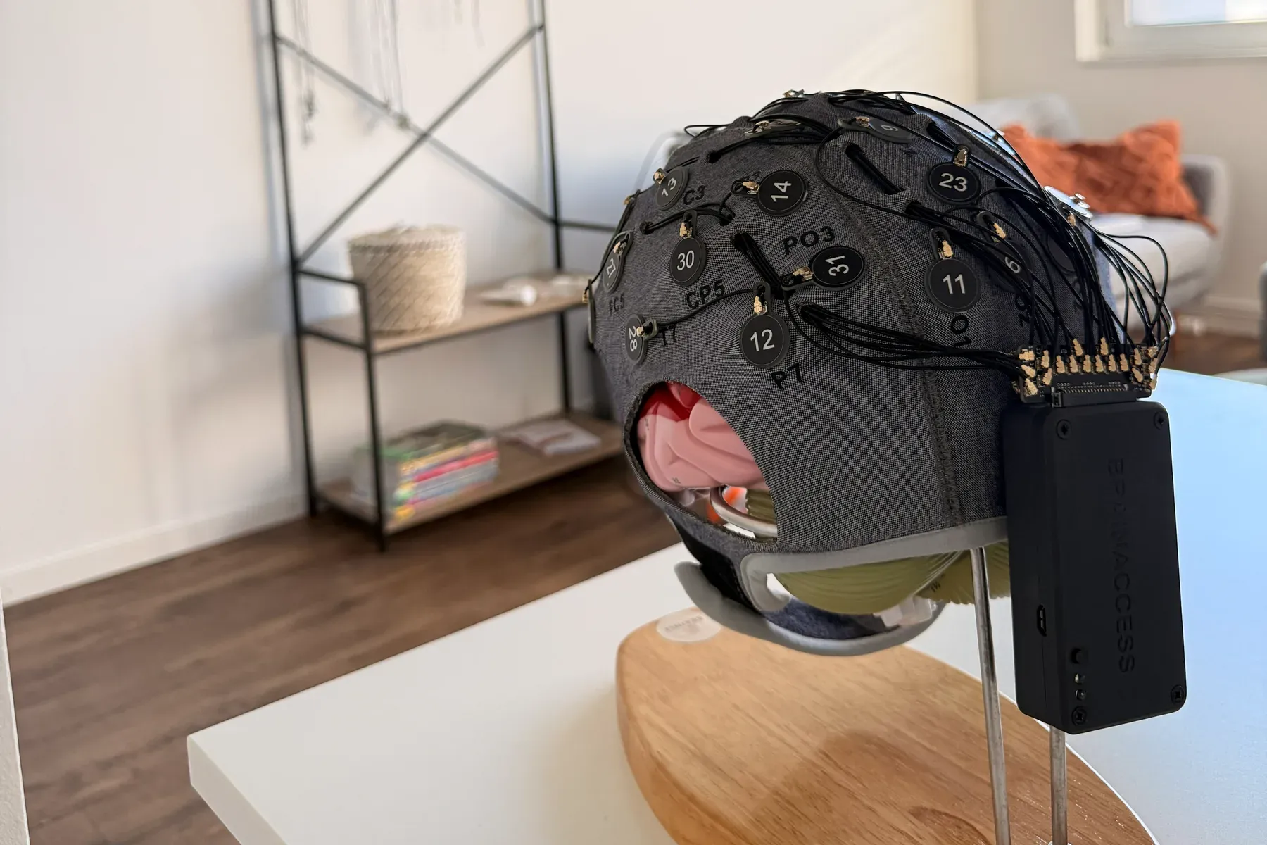 EEG-Kappe mit nummerierten Elektroden und seitlich angeschlossenem Verstärker, aufgesetzt auf ein Hirnmodell